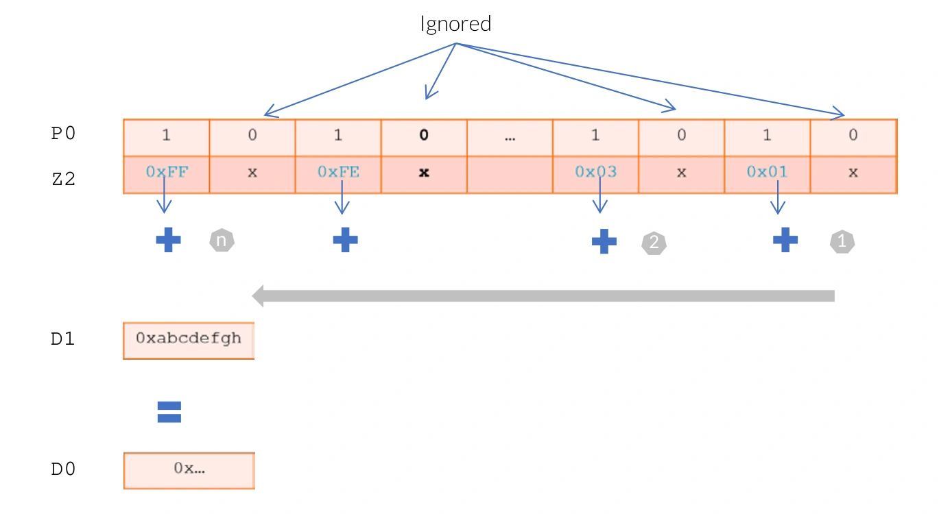 Extended_Floating-poing-and-horizontal-reductions-example-2024-08-13